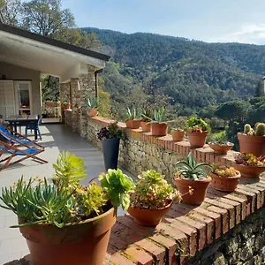 https://villa-ai-sugheri.hotelitalianriviera.com